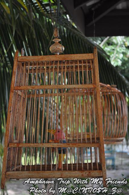 DSC_0876_resize.jpg